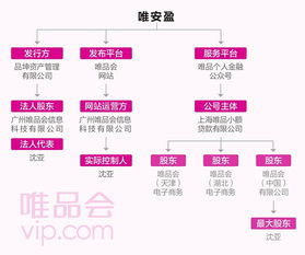 唯品会P2P产品上线未满月蹊跷下线，三大疑问待解背后 科技中介服务的边界与挑战